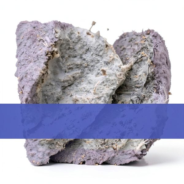 Asbestos Test Kit - (2 Samples) Emailed Results Within 3 to 5 Business Days - Includes Return Mailer and Expert Consultation. Required Lab Fee for NVLAP Analysis-2