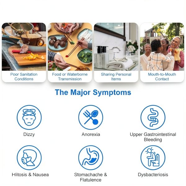 H Pylori Test Kit - 2 Pack Stool Antigen Self-Test for Home Use, 99% Accurate Helicobacter Pylori Test, Fast 8–20 Min Results, Easy to Use & Read H. Pylori Testing Kit-6